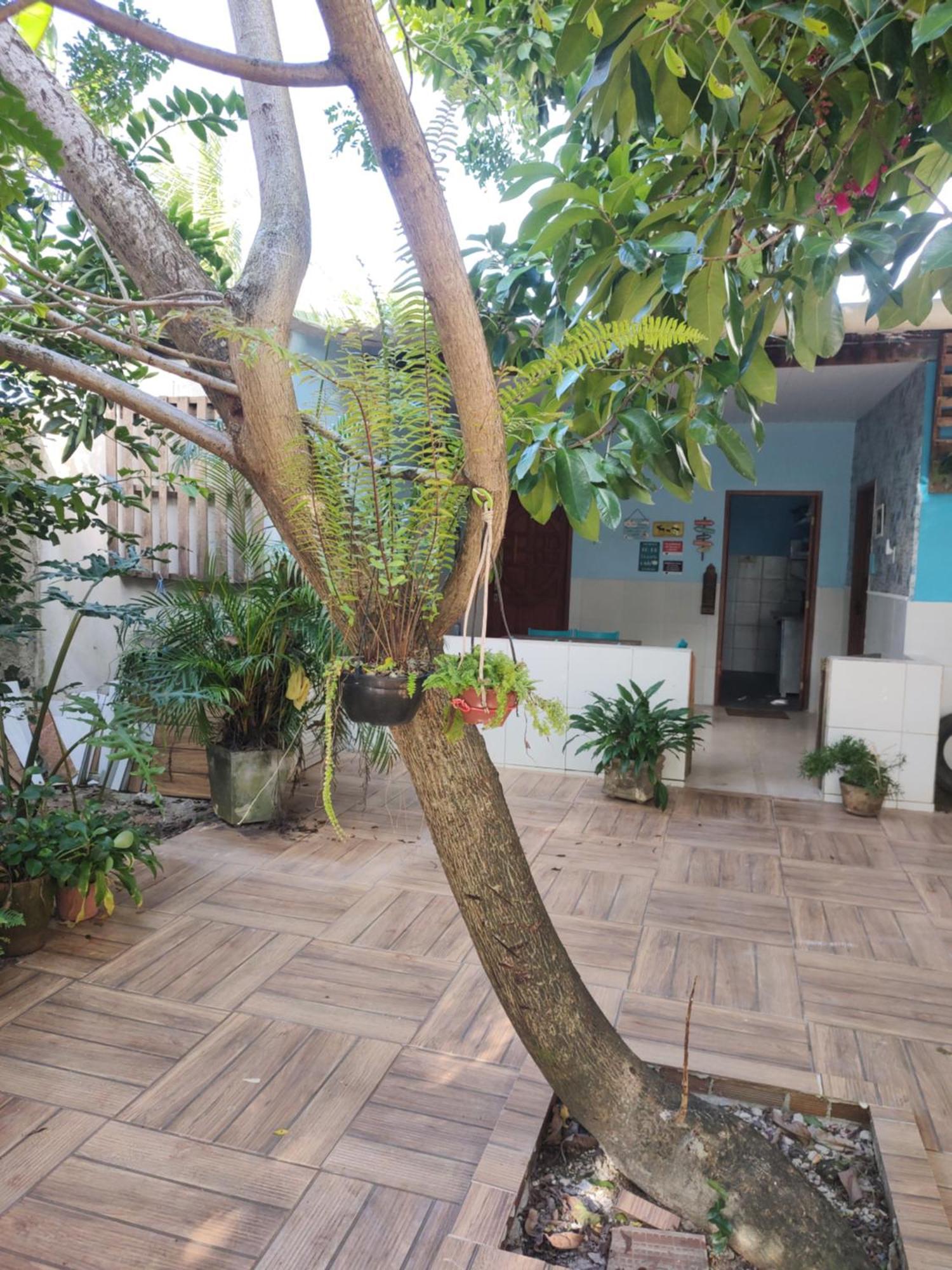 Cantinho Especial Homestay *